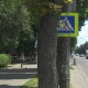 У Луцьку обрізають гілля дерев, щоб водії бачили дорожні знаки