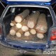 На Волині зупинили три автомобілі з незаконною деревиною