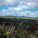 Отруїлася димом та отримала опіки: на Волині жінка загинула спалюючи стерню