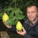 «Лимони» на лимонах. Один із найуспішніших цитрусоводів країни живе в селі на Волині
