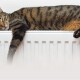 У Нововолинську розпочинається опалювальний сезон