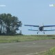 На Волині диких тварин вакцинують із літаків. Показали, як це відбувається