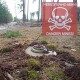 Волинян попереджають: прикордонні ліси й узбіччя доріг заміновані!