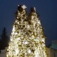 Головні луцькі ялинки – у ТОП-3 найкрасивіших в Україні
