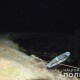 У Ковельському районі потонула 9-річна дівчинка