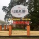 За отруєння – штраф. Покарали підприємицю, через яку похворіли гості на волинському весіллі