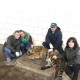 У Луцькому зоопарку влаштували медогляд для тигриці. ФОТО