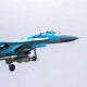 На Житомирщині розбився літак, який колись ремонтували у Луцьку