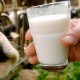 На Волині стали більше продавати молока