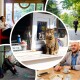 19 особливих текстів «Першого» у 2019 році