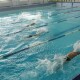 У Центральному басейні Луцька завершився чемпіонат області з плавання