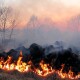 Сьогодні на Волині - високий рівень пожежної небезпеки