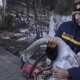 У Луцьку врятували двох лебедів, які могли замерзнути