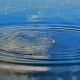 На Волині за минулу добу водолази підійняли з водойм тіла трьох потопельників