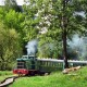 Дитячу залізницю у Луцьку збережуть, - Рубльов