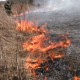 Хроніка пригод Луцька і Волині. Середа, 3 квітня. ФОТО