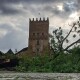 «Для збереження генофонду». У Луцьку посадять «нащадка» Лесиного ясена