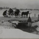 Аеростат і млини: показали 100-літні фото волинського села. ЗГАДАТИ ВСЕ