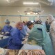 У Луцьку вперше вилучили відразу 4 органи від померлої людини для трансплантації