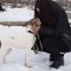 У луцьку «Ласку» навідалися волонтери. ФОТО