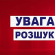 У Володимирі розшукують 7-річного хлопчика, який не повернувся зі школи