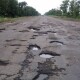 Є 43 голоси з 25 тисяч: в петиції до президента просять відремонтувати дорогу на Волині