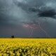 На Волині прогнозують погіршення погоди
