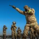 У ЗСУ мобілізовані проходитимуть підготовку з ножового бою