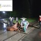 Поблизу Луцька кінь застряг у колії