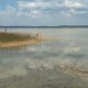 У Світязі побільшало води