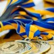 Вісім волинських спортсменів протягом року отримуватимуть 6 000 гривень стипендії. Імена