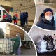 Бізнес, якому не пофіг. #БНП