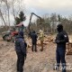 У Камінь-Каширському районі – масові обшуки. Підозрюють незаконну вирубку лісу