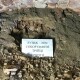 У Луцьку археологи дослідили чотири підземні кімнати знайденого кафедрального храму