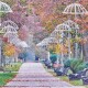 Осінь у Центральному парку на світлинах луцького фотографа