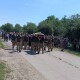 На Волині віддали останню шану Герою Ігорю Панасюку. ФОТО