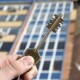 Троє волинських спортсменів отримали квартири у Луцьку