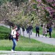 Волинь ще не готова до послаблення карантину, – МОЗ