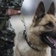 Хроніка пригод Луцька і Волині. Вівторок, 9 квітня. ФОТО