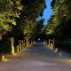 У Луцьку підсвітили алею скульптур Голованя. Що з того вийшло?