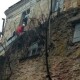 Альпіністи розчистили стіни Олицького замку від заростей та дерев