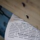 У ВР пропонують спростити накладання штрафу за ігнорування повісток