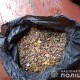Волинянин вдома зберігав 5 кілограмів бурштину