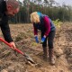 На Волині висадили понад гектар дубів та горіхів