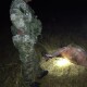 У крові мчав на квадроциклі: на Волині керівника шахти підозрюють у браконьєрстві