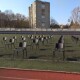 Вхід – тільки з 36,6. Як на стадіоні готуються до сесії Луцькради