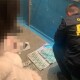 Волинській чиновниці, яка вимагала хабар, оголосили підозру. Її хочуть взяти під варту