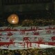 «Криваві долоні, гарбузи»: під будинком судді КСУ з Волині активісти влаштували акцію протесту