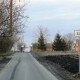 Луцькрада створить громадське пасовище у Боголюбах
