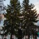 Музей науки в луцькому Будинку офіцерів. Яким його бачать